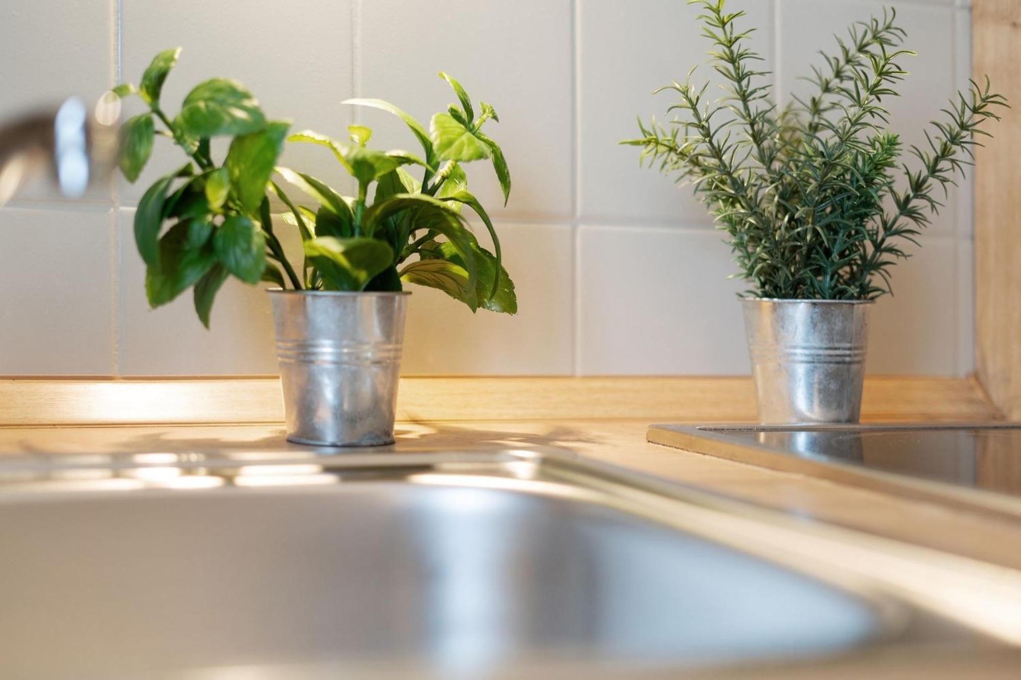 Mittelweg 6 Wohnung 4 Grömitz Zewnętrze zdjęcie